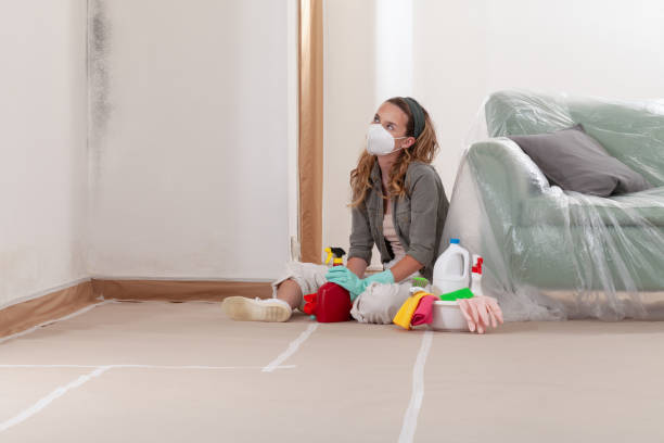 Reliable Mold Inspection And Testing contractor in Fountain, NC by Mold Remediation HQ
